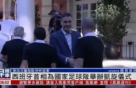 爱游戏-居住在日本的西班牙球迷为国家队欧洲之旅加油的简单介绍  第1张